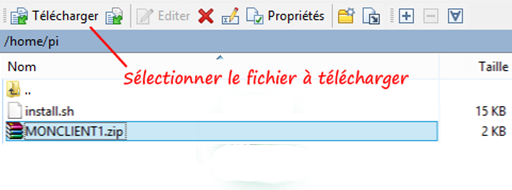 Télécharger le fichier Zip du client OpenVPN