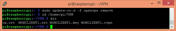 dir VPN