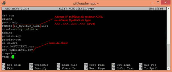 parametres client openVPN