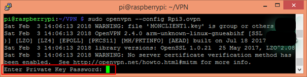 password client OpenVPN